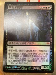 MTG 傲慢な血王、ソリン 英語 旧枠 foil - メルカリ