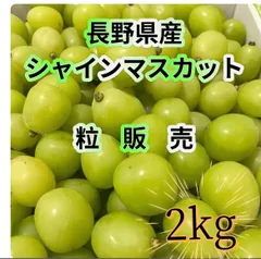 2026年最新】訳あり シャインマスカットの人気アイテム - メルカリ