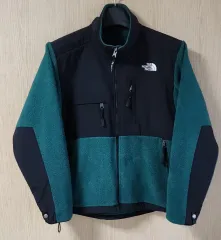 (着用画像) THE NORTH FACE 95 レトロ デナリ ジャケット