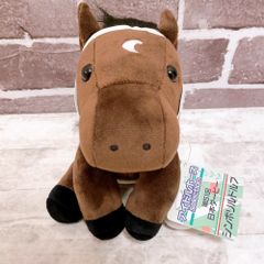 中山グランドジャンプ オジュウチョウサン アイドルホース レギュラー