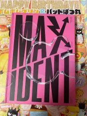 Stray Kids MAXIDENT アルバム