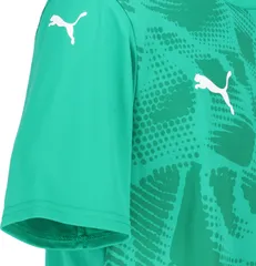 プーマ PUMA サッカー TEAMULTIMATE グラフィック ゲームシャツ メンズ 男性 トップス Tシャツ ウェア 試合 大会 フットサル 吸水速乾 ドライ 練習 トレーニング  706791 38 NEONSUN