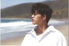 SEVENTEEN Al1 S.COUPS ポストカード