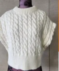 ZARA アイボリー ケーブル 半袖 ニット