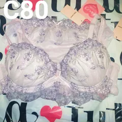 チュチュアンナ 運命のブラ  C80  L  運命のブラ  上下セット 定価 3498円  76