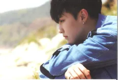 SEVENTEEN Al1 HOSHI ポストカード