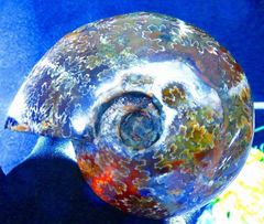 市場価格38万円！希少 ☆超綺麗見惚れるほど美しい！！！純天然糸魚川