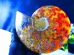 無有窯 松本寿和氏 ヒーリング・オカリナ G02管 - メルカリ