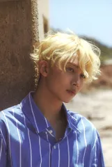 SEVENTEEN Al1 JEONGHAN ポストカード