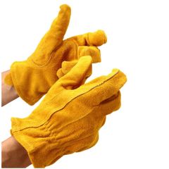 Item thumbnail for item d06e601a-d634-4869-a28f-b10ea3c996c5