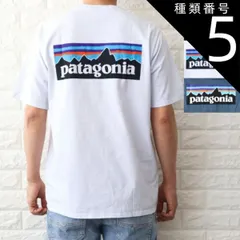 種類5:ホワイト/XL 種類1:WHITE（WHI）/XS パタゴニア Tシャツ メンズ P-6ロゴ レスポンシビリティー ホワイト ブラック ブルー 38504