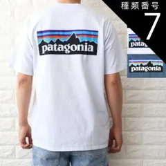 種類7:ブラック/XS 種類1:WHITE（WHI）/XS パタゴニア Tシャツ メンズ P-6ロゴ レスポンシビリティー ホワイト ブラック ブルー 38504