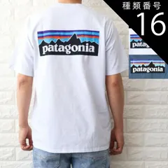 種類16:ブルー/L 種類1:WHITE（WHI）/XS パタゴニア Tシャツ メンズ P-6ロゴ レスポンシビリティー ホワイト ブラック ブルー 38504