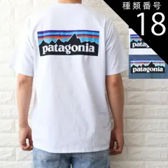 種類18:ブルー/XXL 種類1:WHITE（WHI）/XS パタゴニア Tシャツ メンズ P-6ロゴ レスポンシビリティー ホワイト ブラック ブルー 38504