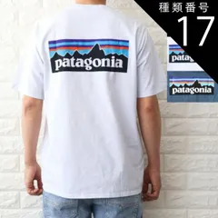 種類17:ブルー/XL 種類1:WHITE（WHI）/XS パタゴニア Tシャツ メンズ P-6ロゴ レスポンシビリティー ホワイト ブラック ブルー 38504