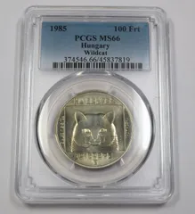 2026年最新】キャット金貨の人気アイテム - メルカリ