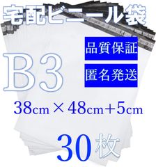 Item thumbnail for item 687ed716-f881-40e0-bdb2-70129d17f465