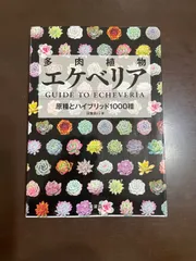 2026年最新】サボテン相談室の人気アイテム - メルカリ