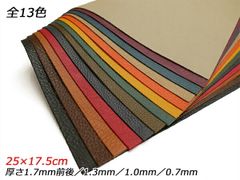 Item thumbnail for item eb1c76dc-2975-4f27-99ae-d55b183cc8f3