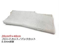 極希少☆極美品カイロウドウケツ 縁起物 深海生物 25-30cm 標本 極希少☆極美品カイロウドウケツ 縁起物 深海生物 25-30cm 標本 - メルカリ