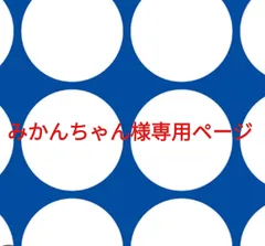 みかんちゃん様専用ページです。