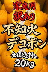 幻のみかん 紀州大坊みかん Sサイズ　3kg みかんキング 幻のみかん 紀州大坊みかん 秀品 3kg みかんキング - メルカリ