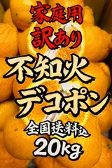2026年最新】みかんキングの人気アイテム - メルカリ
