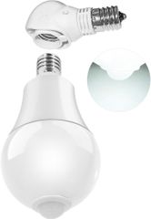 Item thumbnail for item 136ca3d7-0173-4eb3-be47-6b3c1f2fe7e3