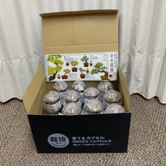 まめ盆栽栽培セット　管理番号SC193のサムネイル