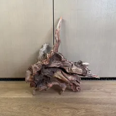 2026年最新】ホーンウッド adaの人気アイテム - メルカリ