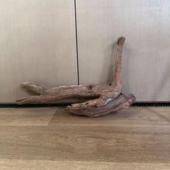 アクアリウム用 水槽用流木 100cm.80cm 2本 濡れた状態で発送致します