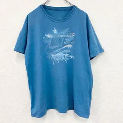 【値引き交渉OK！】古着 used　NIKE　ナイキ　半袖プリントTシャツ　スポーツウェア　クルーネック　レトロデザイン　水色　ライトブルー