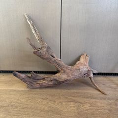 ホーンウッド系流木【セレクト】01 - メルカリ