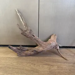 2026年最新】ホーンウッド adaの人気アイテム - メルカリ