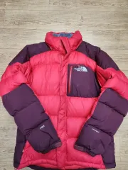 THE NORTH FACE 700グースダウン レッド/バーガンディ