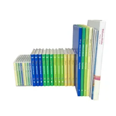 DWE ディズニー英語システム 2012年頃 DVD版 シングアロング 英語 子ども 教材 中古 K10675780