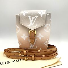 美品☆ ルイヴィトン リュック 2way タイニー ザプール ショルダー 