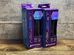Panaracer AGILEST クリンチャー 700×28c アンバー 2本 - メルカリ