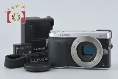 2026年最新】panasonic lumix gx7の人気アイテム - メルカリ