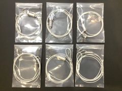 Item thumbnail for item 7fc07011-175f-4cd6-b796-9329b6578acc