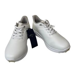 Item thumbnail for item 77a3dd1f-c3ac-43d5-8b4a-9729d88d0b8a