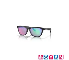 (新品未使用)OAKLEY オークリー サングラス0OO9245 FROGSKINS 9245E4 54 888392617699