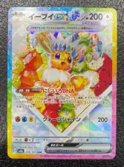 2026年最新】イーブイex 224/187の人気アイテム - メルカリ