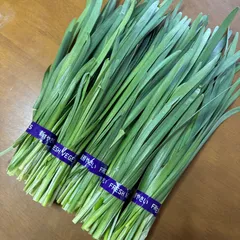 ももちゃんの冬ニラ　ニラ　約500g 即購入ok  短め