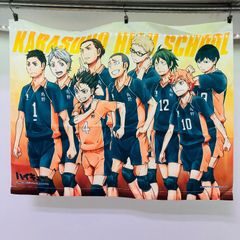 [약 60cm×47cm] 태피스트리 하이큐!! ?전국에 가는 것은 우리다? 더블 찬스 캠페인 [스페셜 태피스트리]