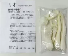 【中古】フィギュア リオ 「スーパーブラックジャック」 ガレージキット