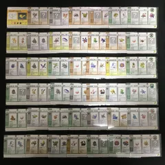 7001050 【傷あり】まとめ　42枚 e+ ポケモンカード Pokemon Card