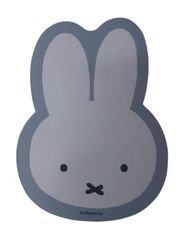 Item thumbnail for item 8d850428-5c65-4365-a35b-e7551f865ae1