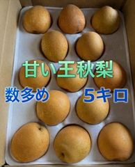 インディアン魚座様専用 ゴールデンキウイ ゼスプリ 1箱45個入りです
