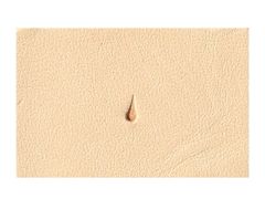 Item thumbnail for item 9e5adf4d-a4e3-41f4-b24a-9e32449690ba